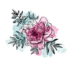 Elegant watercolor pink peony flower with leaves isolated on white background. Sketch linear floral drawing on colored spots for logo, avatar or art poster