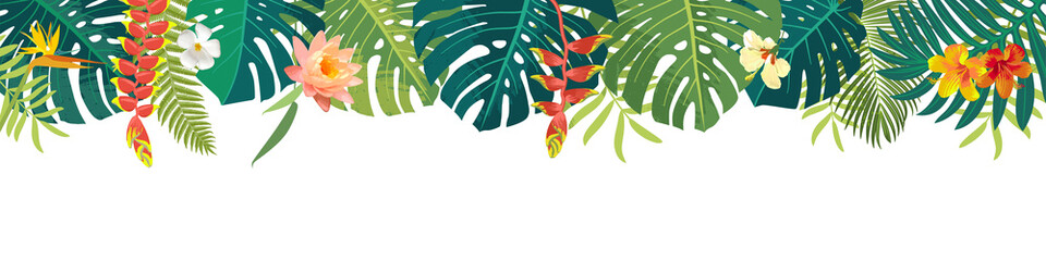 Vector Hawaiian Summer beautiful jungle exotic leaves long horizontal banner. Botanical summer design. Monstera, hibiscus, bird of paradise, plumeria flowers, tropical plants. Summertime illustration © babayuka