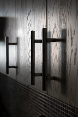 Kitchen cabinets with metal handles or handles on the doors