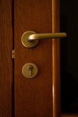 Close interior doors. Shiny doorknob on a wooden door. The concept of interior details.