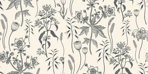 Nature Seamless pattern. Dry herbs, cereals, and wildflowers - obrazy, fototapety, plakaty