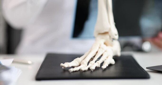 Foot model, part of the skeleton on the table