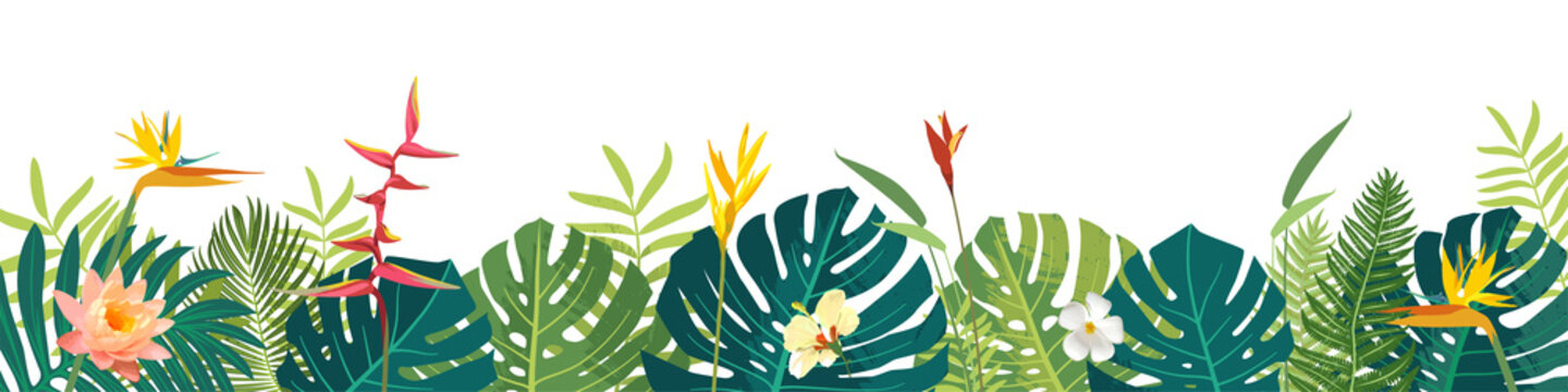 Vector Hawaiian Balinese Polinesian Summer beautiful jungle exotic leaves long horizontal banner. Botanical summer design. Monstera, hibiscus, bird of paradise, plumeria flowers, tropical plants
