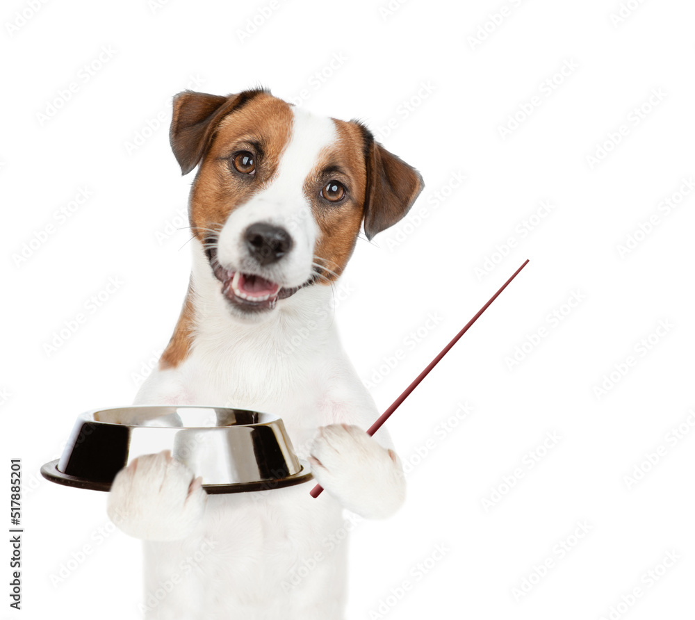 Poster hungry jack russell terrier puppy holds empty bowl and points away on empty space. isolated on white