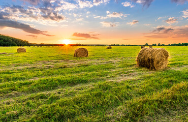 Scenic view at beautiful spring sunset in a green shiny field with green grass and golden sun rays, deep blue cloudy sky on a background , forest and country road, summer valley landscape