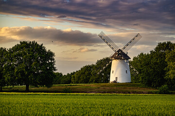 Windmühle auf dem Egelsberg in Krefeld Traar, an einem Frühlingsabend kurz vor Sonnenuntergang.