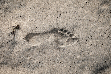 Der Fußabdruck einer Person im feuchten Sand am Strand.