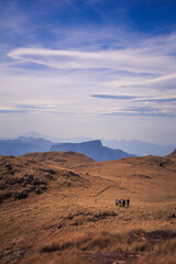 Acampamento na pedra da tartaruga
