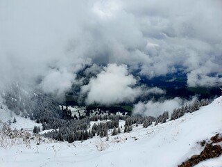 snow covered mountains