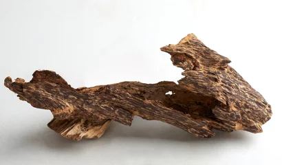 Foto op Plexiglas Solid piece of agarwood or agar wood (Oud) isolated on white background © BH