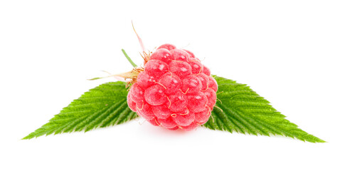 Ripe pink raspberries with green leaves on a white background.