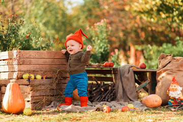 Autumn season. Happy baby boy in costume of dwarf plays in kitchen-garden. Wooden boxes and...