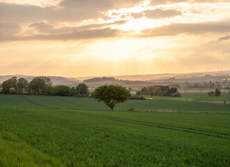 Country landscape in sunshine in Germany
