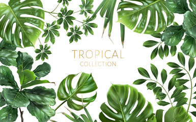 Vector tropical horizontal frame with green leaves on white background. Luxury exotic botanical design for cosmetics, wedding invitation, summer banner, spa, perfume, beauty, travel, packaging design - 517892650