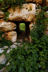 Poblado talaiótico de Els Antigors (Edad de bronce).Ses Salines.Mallorca.Baleares.España. © Tolo