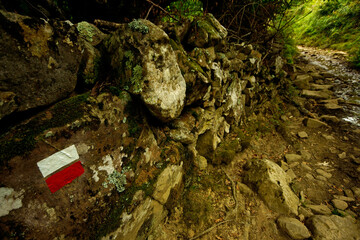 Sendero de gran recorrido GR11.Baztan.Cordillera pirenaica.Navarra.España.