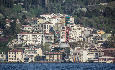 Fototapeta na wymiar View over the houses and villas on the coastline of Bosphorus strait. View from the touristic boat during the cruise on Bosporus, Istanbul, Turkey
