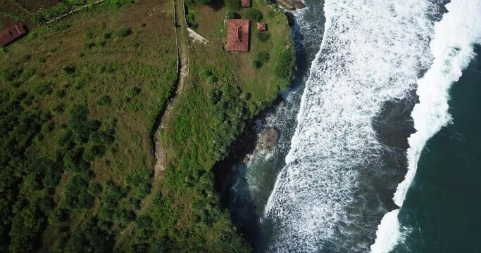 aerial cliff overgrown by tress border with the sea. drone shot of sea wave in Indonesia. sea ​​foam 4K video.