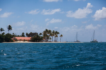 Fototapeta na wymiar Martinique island in the Caribbean Sea with a beach with palm trees, a house on the shore and yachts off the coast.