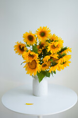 Traditional Ukrainian sunflowers. Flowers for the production of sunflower oil, harvest of Ukraine