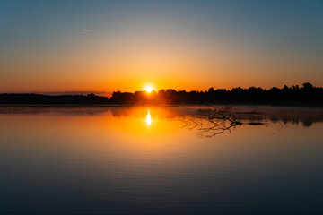 Obraz premium misty sunrise with a little branch lies,swims in the lake; forest as a silhouette and blue sky without clouds