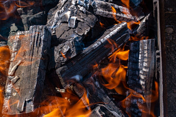 fire on the coals. Preparation of fire for shish kebab. picnic. outdoor recreation