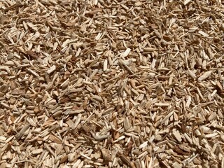 a pile of many wood chips