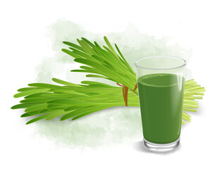 Wheatgrass vector illustration with wheatgrass Juice