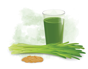 Wheatgrass vector illustration with Wheatgrass juice and seeds.