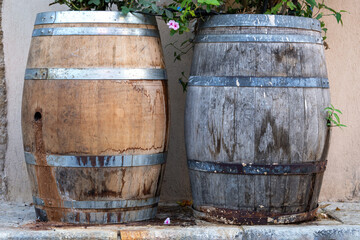 Wooden barrels with plants on the Tel Aviv street