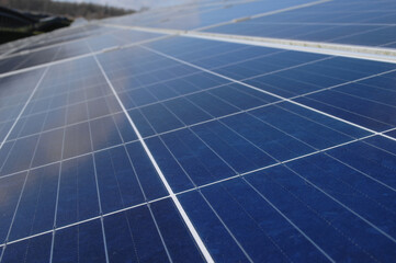 Rows of solar panels - 517899067