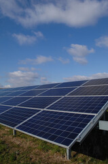 Rows of solar panels - 517899071