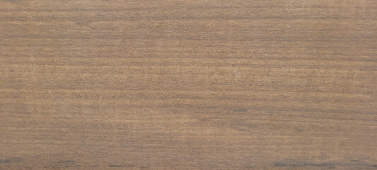 light rustic wood background with dark veins on natural panel