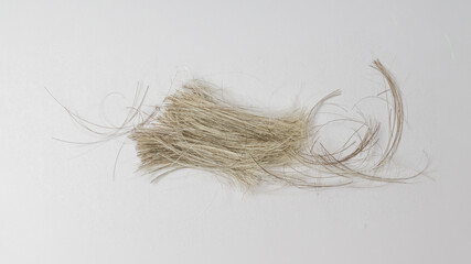 cut strands of gray hair on a white background