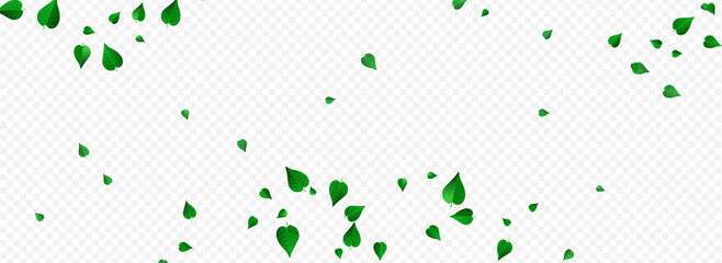 Forest Foliage Organic Vector Panoramic