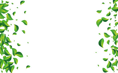 Lime Leaves Fly Vector White Background. Flying