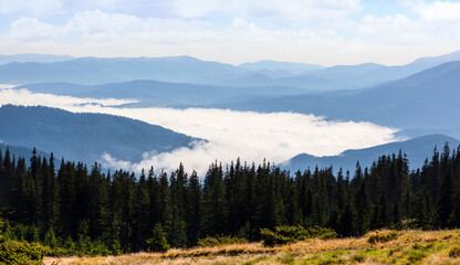 Beautiful hills and mist in the Carpathian mountains.