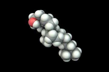 Molecule of cholesterol, 3D illustration