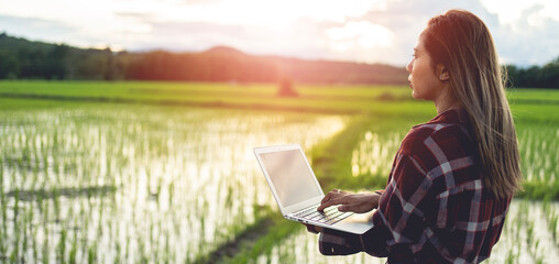 Asian woman farmer using laptop to store farm data In the evening with warm light. Agricultural technology concept. Organic agriculture.