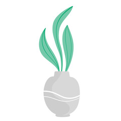 Vector illustration green long plant in pot on white isolated background.