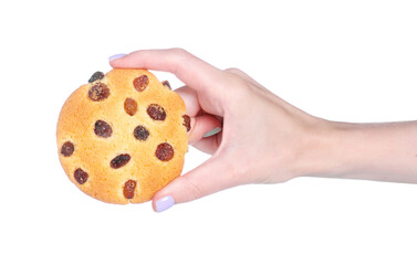 Cookies with raisins in hand on white background isolation