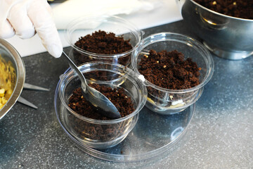 The process of preparing a multi-layered dessert..The confectioner puts the biscuit as the next layer