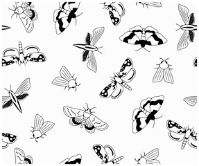 Obraz premium Nocturnal moth, butterflies and moth, seamless vector background in outline, pattern. Flying insects, nature, entomology and entomological, wallpaper, banner, vector design