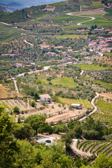 Fototapeta premium Vineyards along the Douro River, Portugal