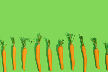 Fresh young bio orange carrot with green leaf haulm in a row on a bright color green background with copy space on a sunny day with sharp shadows. Healthy diet eating concept. Raw food idea.