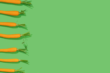 Fresh young bio orange carrot with green leaf haulm in a row on a bright color green background...