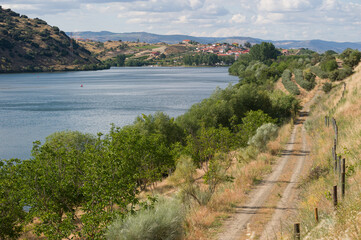Fototapeta na wymiar view of the river Douro