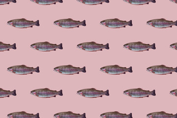 Seamless pattern of raw rainbow trout closeup isolated on pink background. Fish swim to the left.