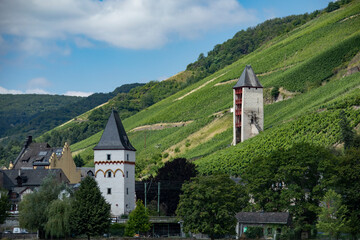 Fototapeta na wymiar Rhine River Vineyards