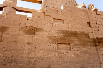 Different hieroglyphs on the walls and columns in the Karnak temple. Karnak temple is the largest complex in ancient Egypt.